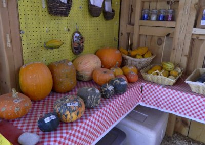 gingham line table with pumpkins and squash